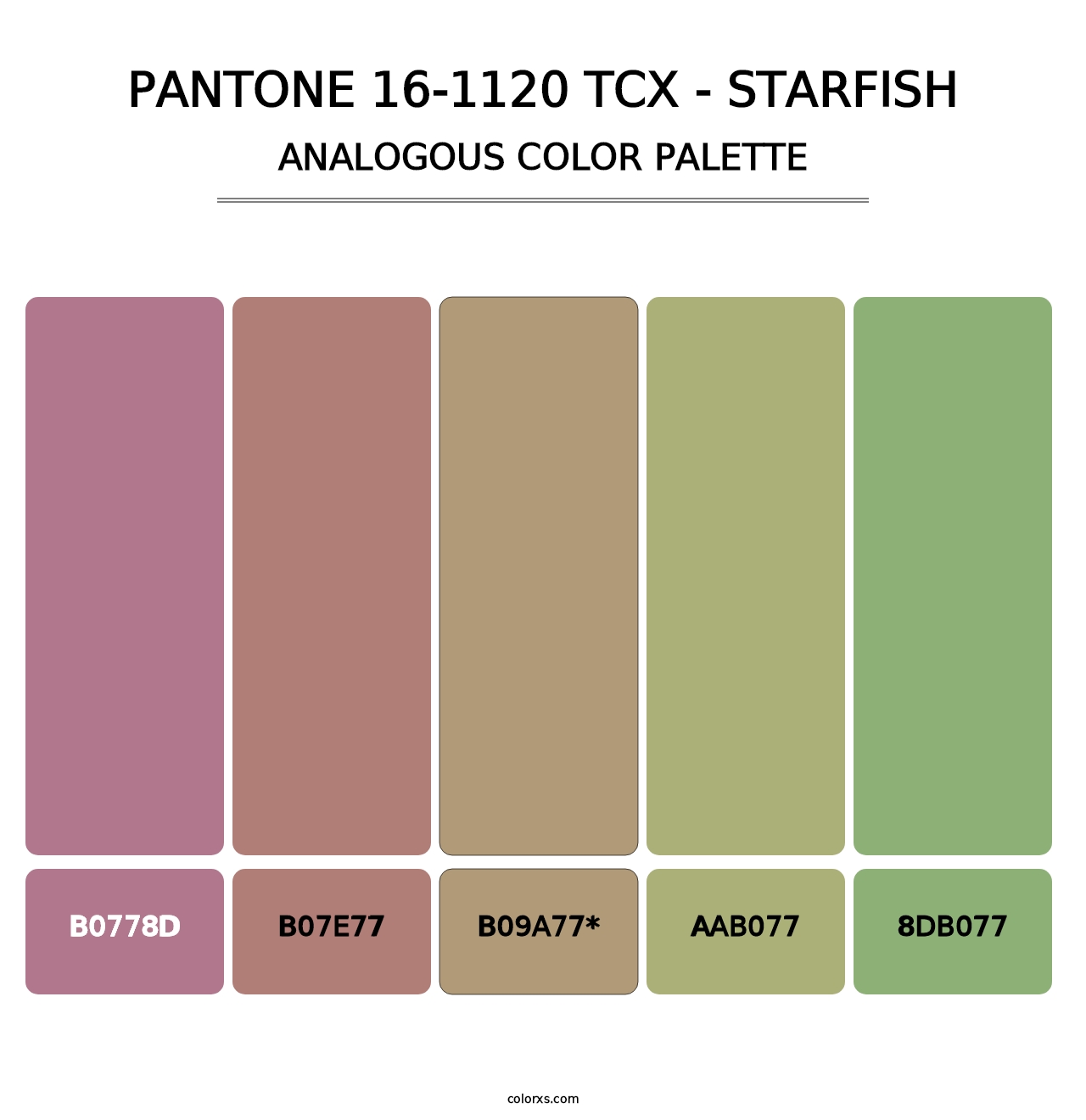 PANTONE 16-1120 TCX - Starfish - Analogous Color Palette