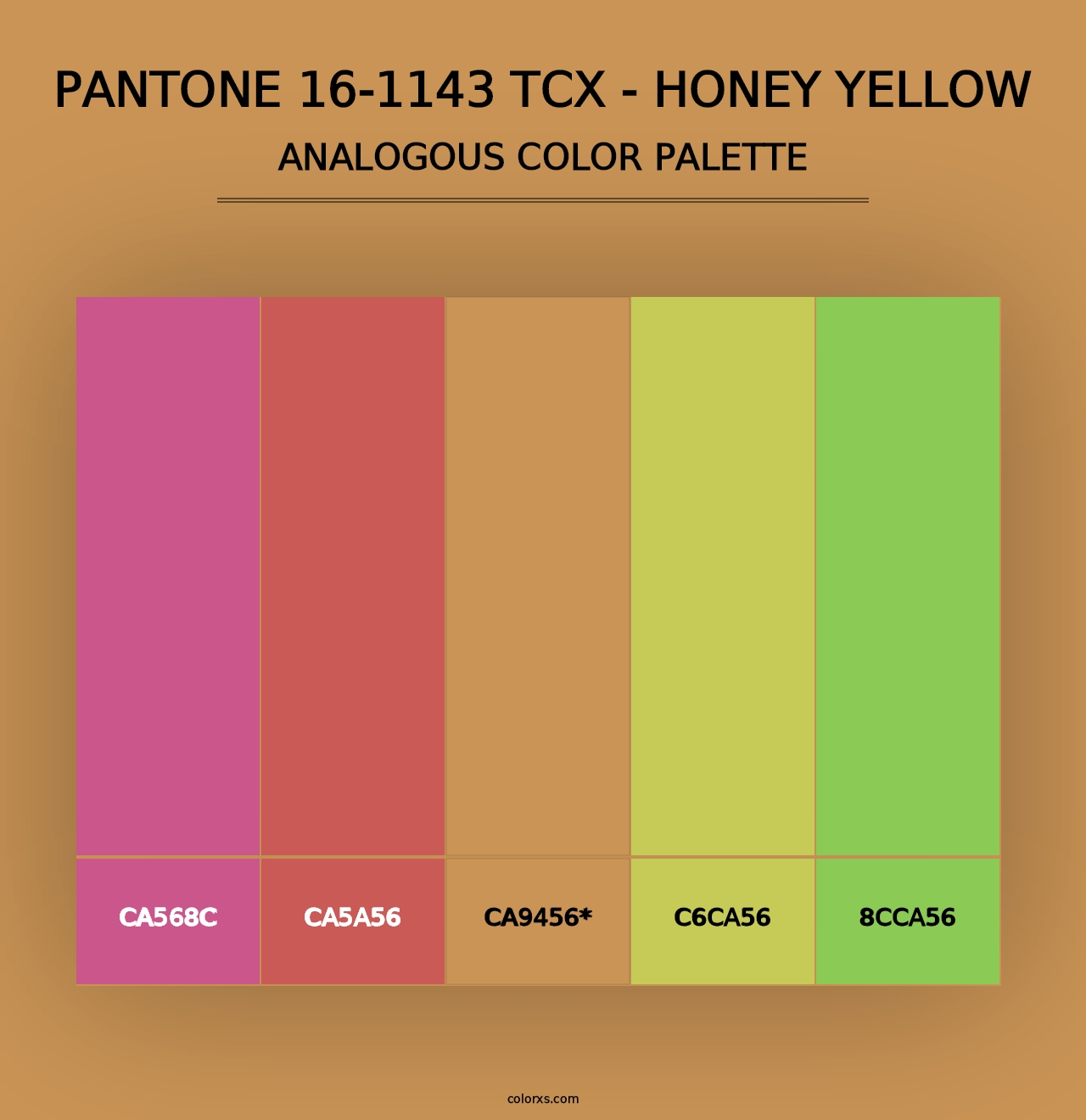 PANTONE 16-1143 TCX - Honey Yellow - Analogous Color Palette