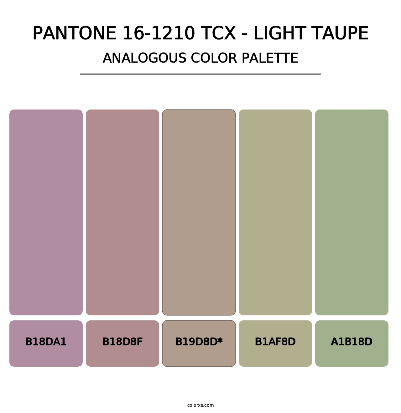 PANTONE 16-1210 TCX - Light Taupe - Analogous Color Palette