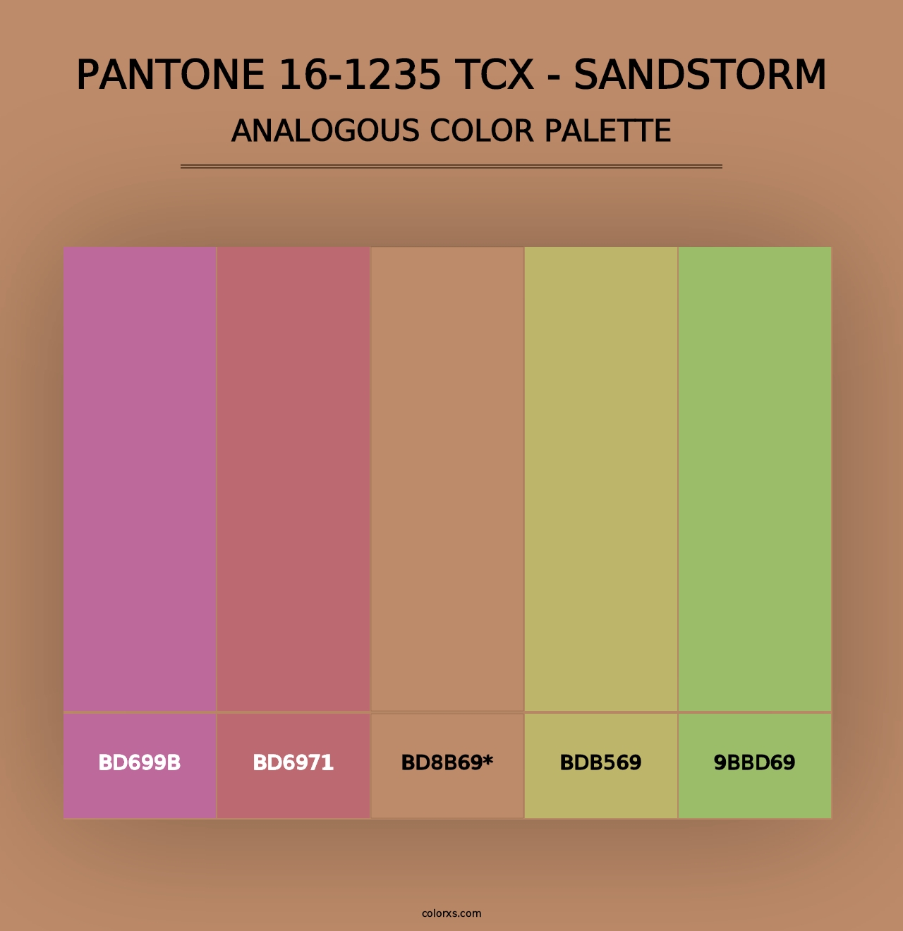 PANTONE 16-1235 TCX - Sandstorm - Analogous Color Palette