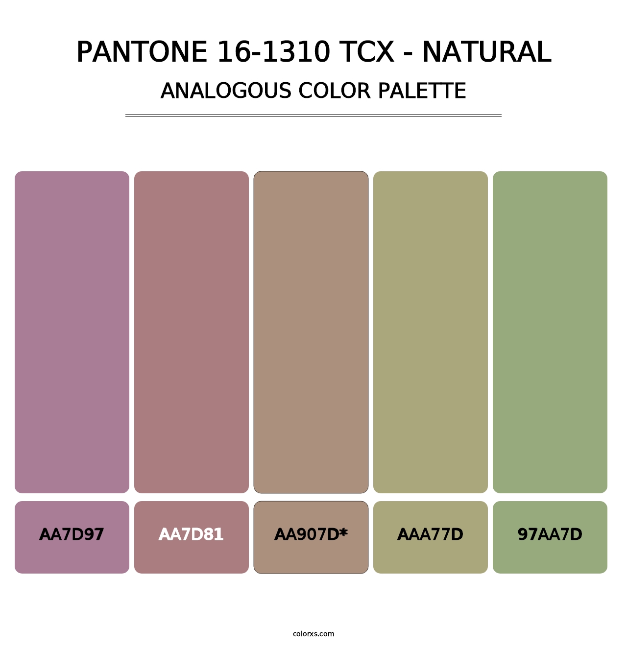 PANTONE 16-1310 TCX - Natural - Analogous Color Palette