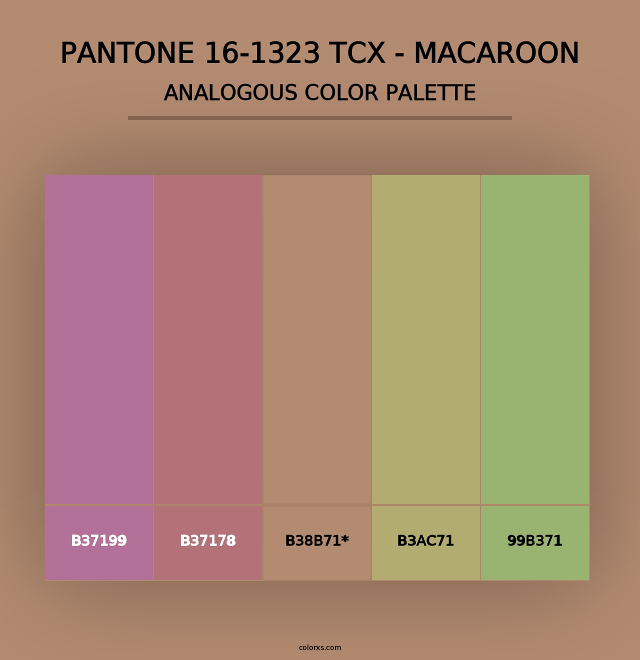 PANTONE 16-1323 TCX - Macaroon - Analogous Color Palette