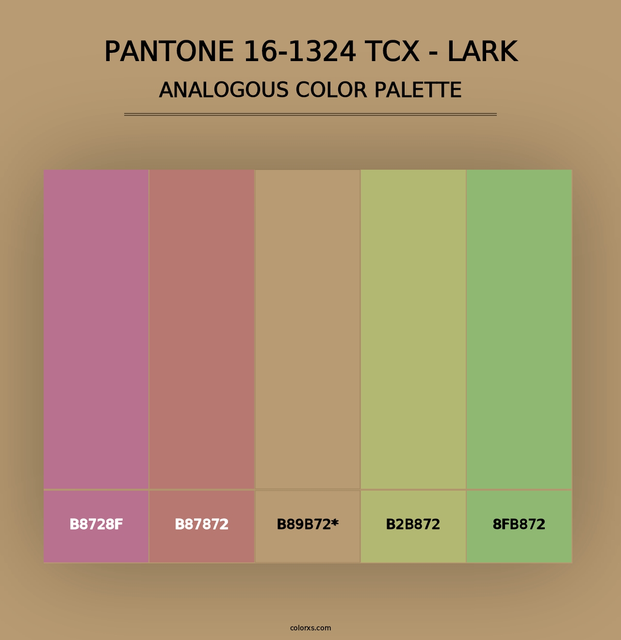 PANTONE 16-1324 TCX - Lark - Analogous Color Palette