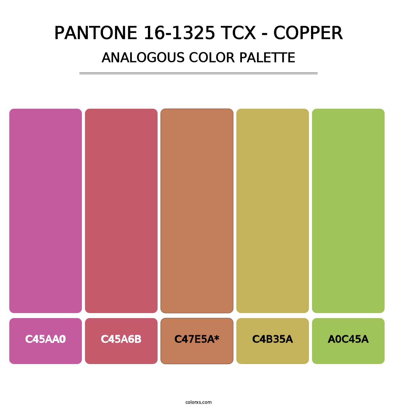 PANTONE 16-1325 TCX - Copper - Analogous Color Palette