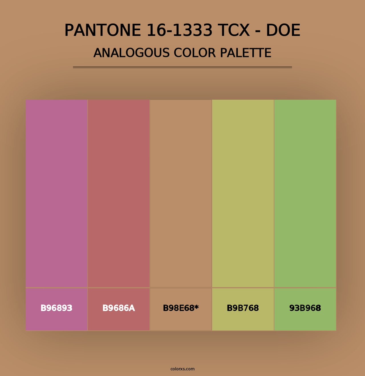 PANTONE 16-1333 TCX - Doe - Analogous Color Palette