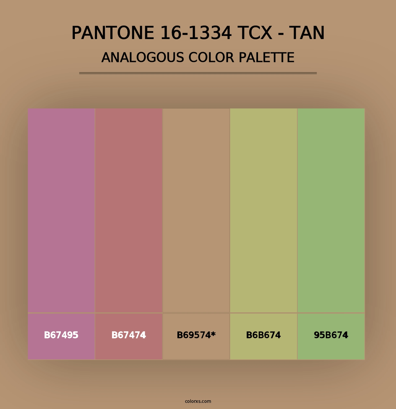 PANTONE 16-1334 TCX - Tan - Analogous Color Palette