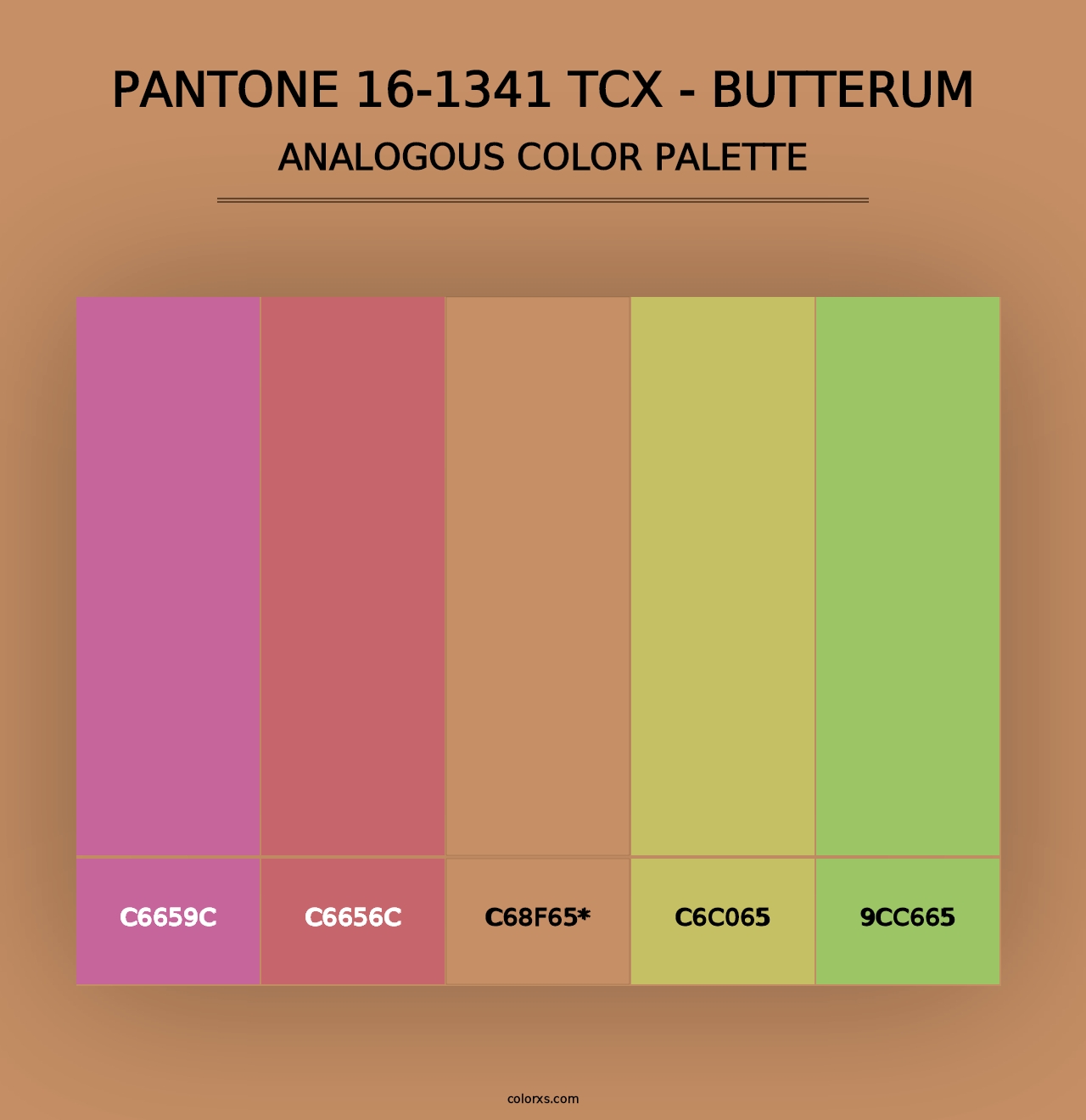 PANTONE 16-1341 TCX - Butterum - Analogous Color Palette