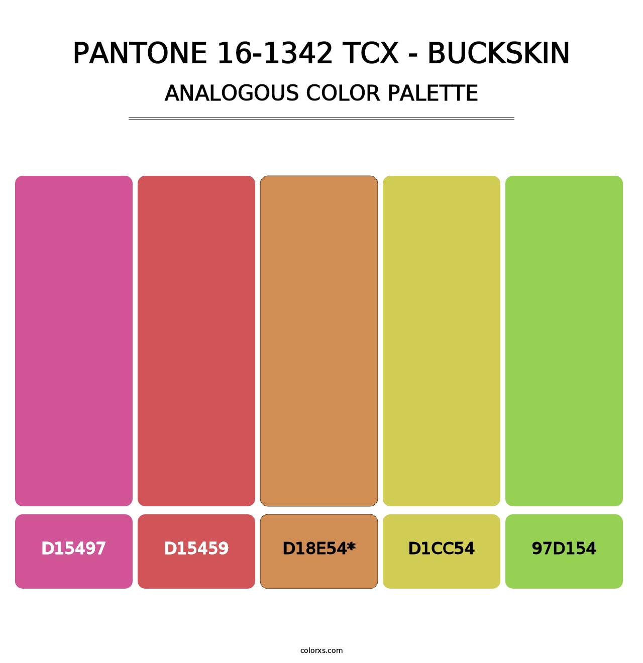 PANTONE 16-1342 TCX - Buckskin - Analogous Color Palette