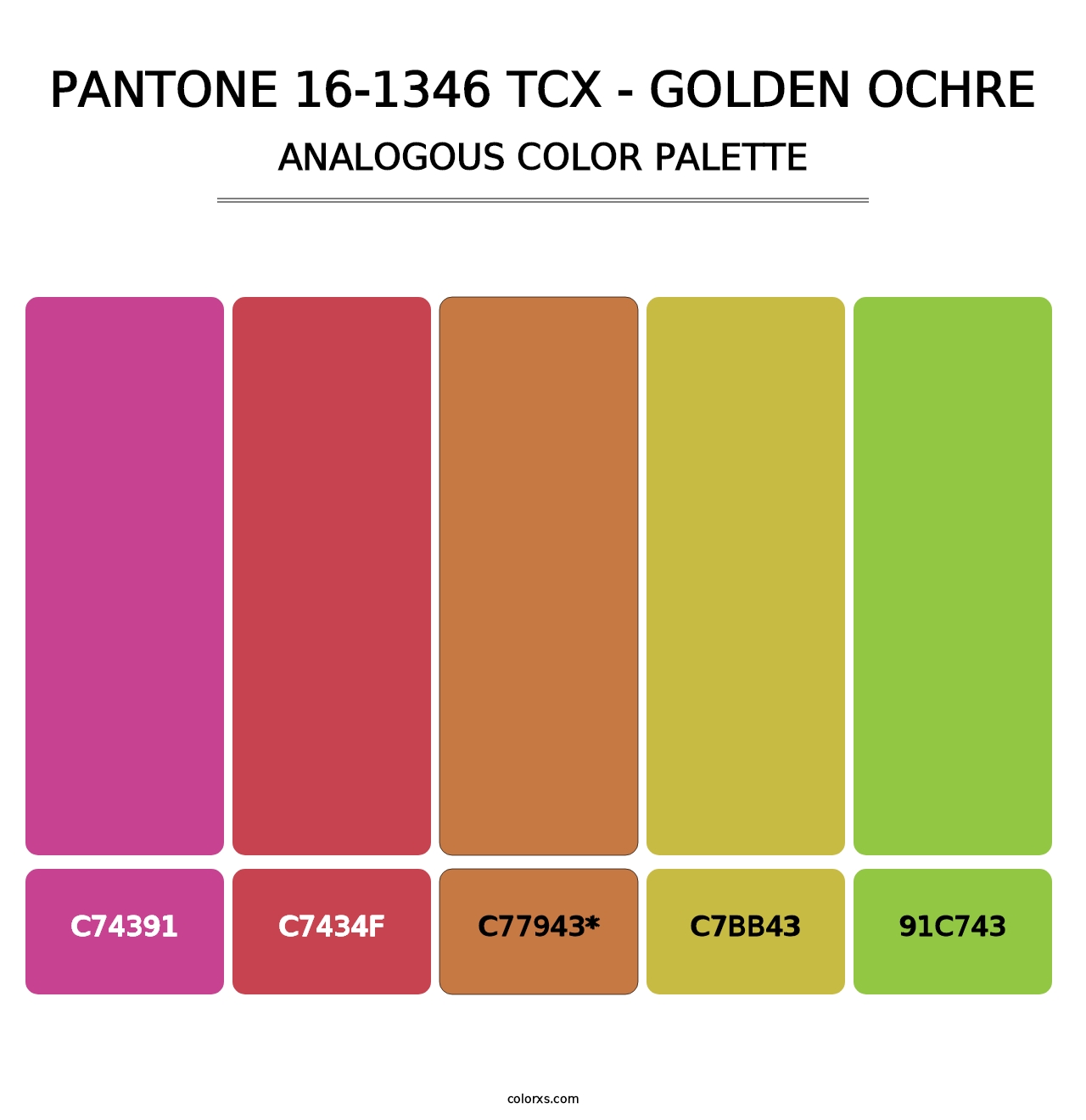 PANTONE 16-1346 TCX - Golden Ochre - Analogous Color Palette