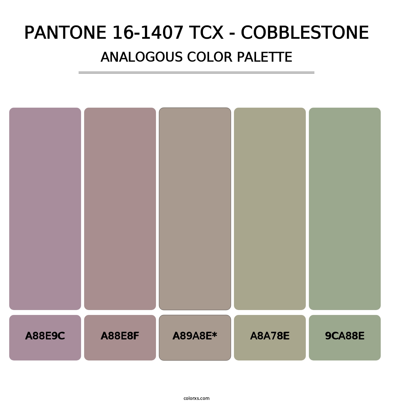 PANTONE 16-1407 TCX - Cobblestone - Analogous Color Palette