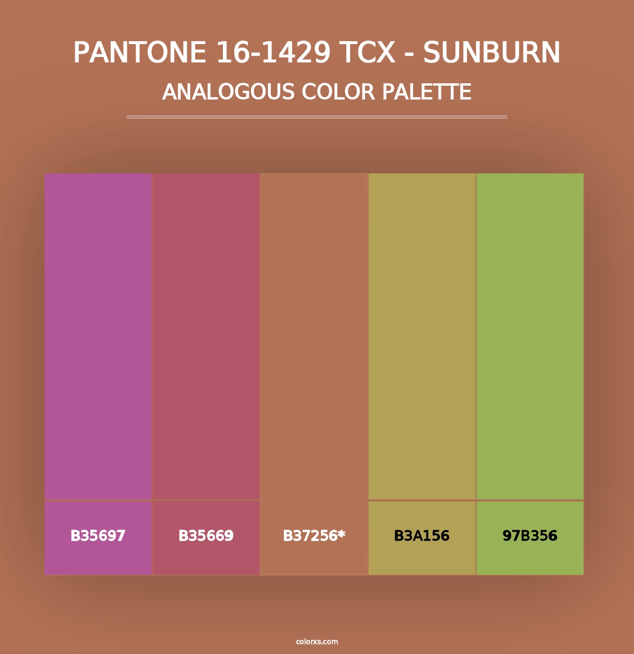 PANTONE 16-1429 TCX - Sunburn - Analogous Color Palette