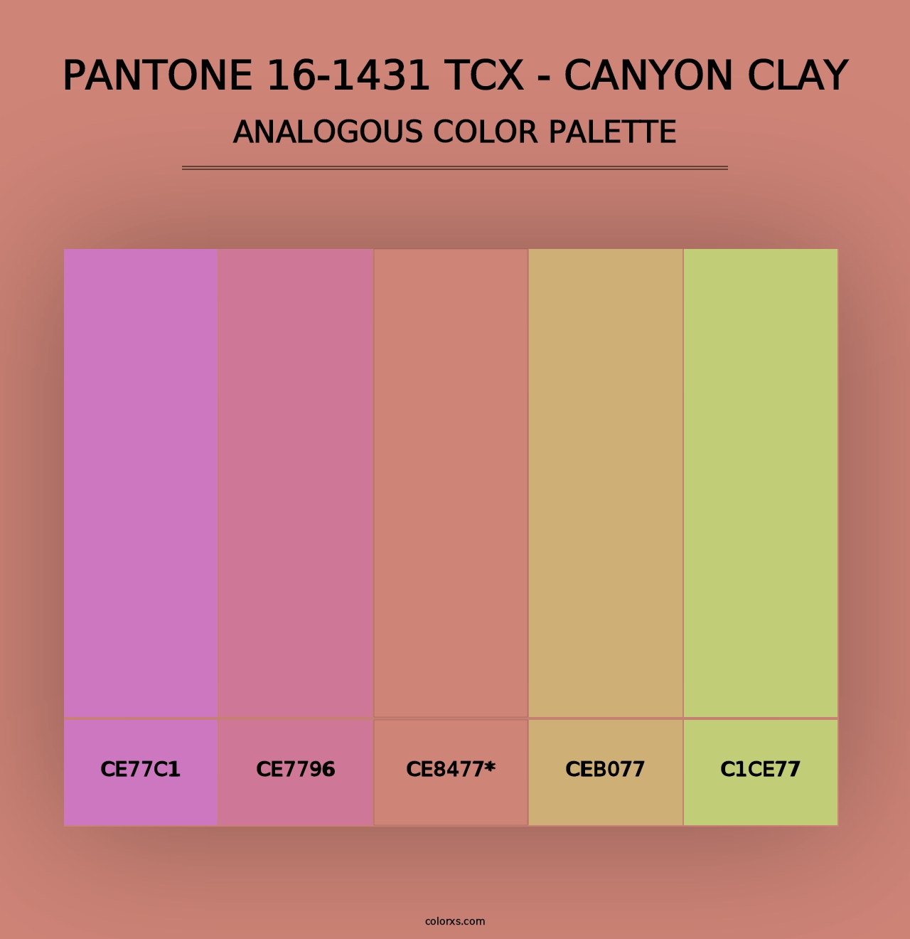 PANTONE 16-1431 TCX - Canyon Clay - Analogous Color Palette