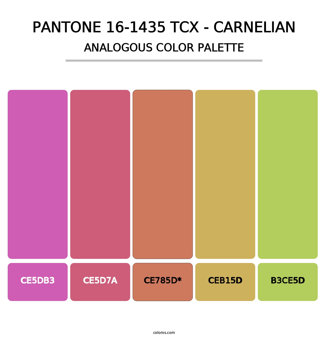 PANTONE 16-1435 TCX - Carnelian - Analogous Color Palette