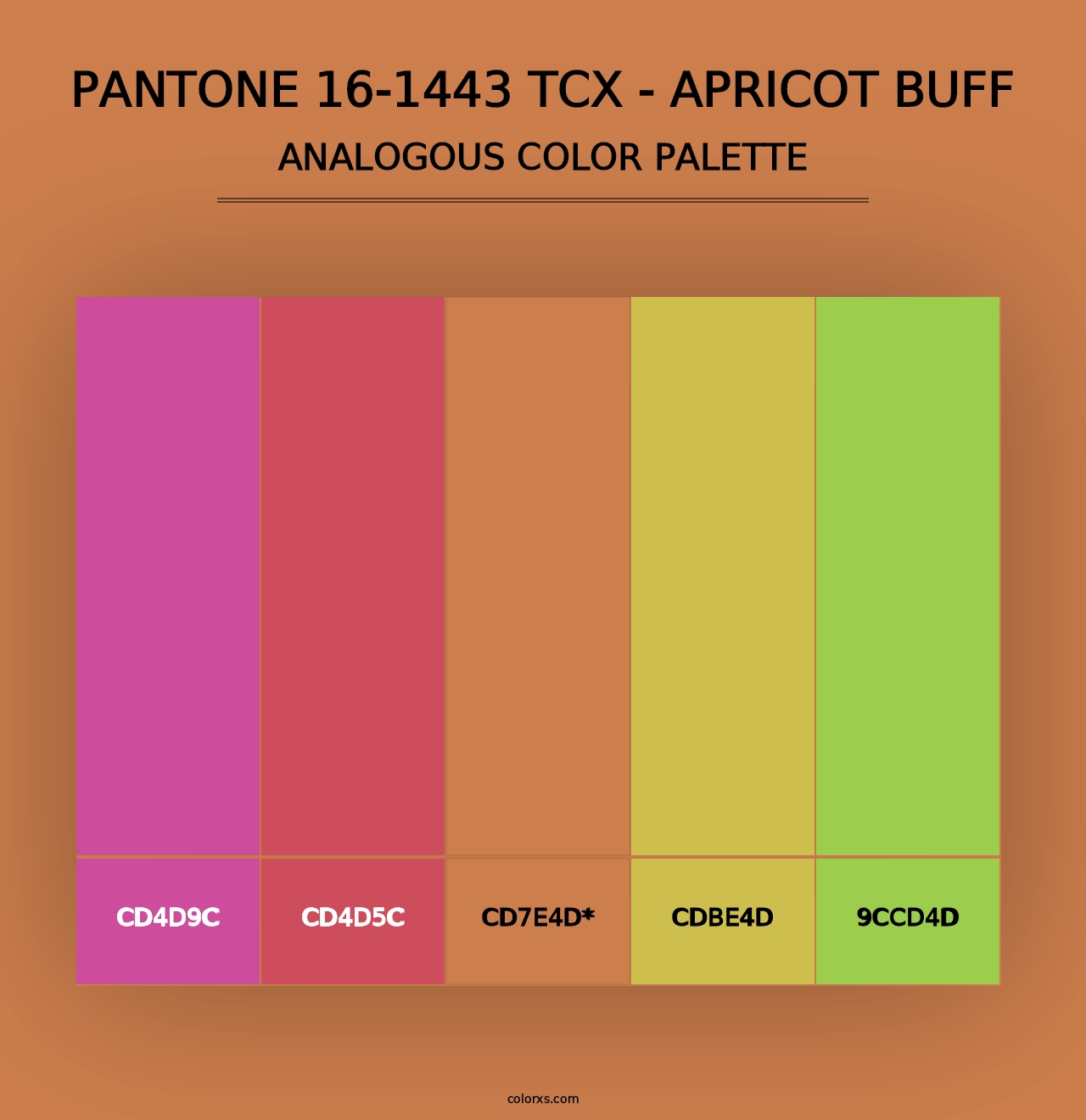 PANTONE 16-1443 TCX - Apricot Buff - Analogous Color Palette