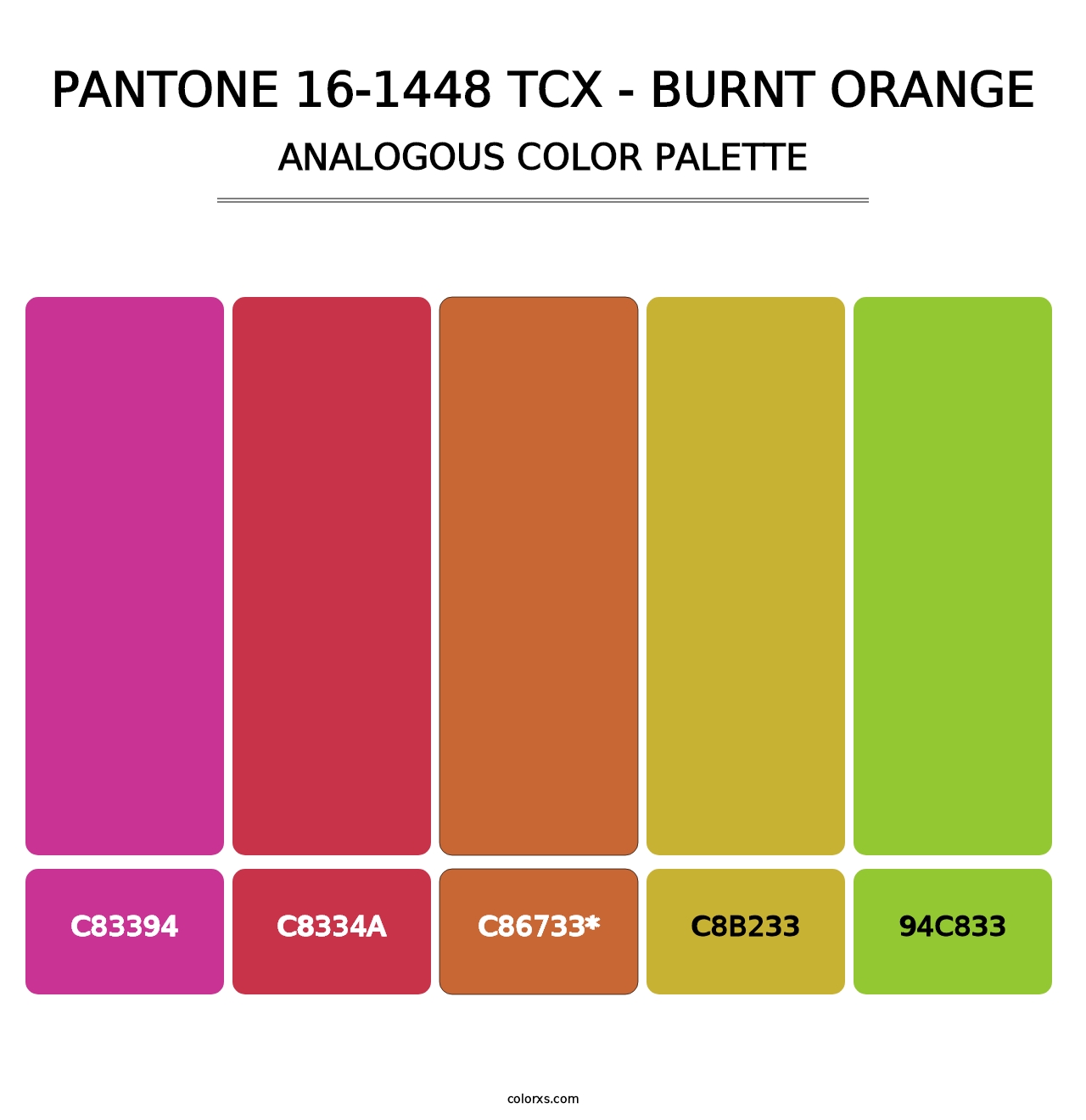 PANTONE 16-1448 TCX - Burnt Orange - Analogous Color Palette