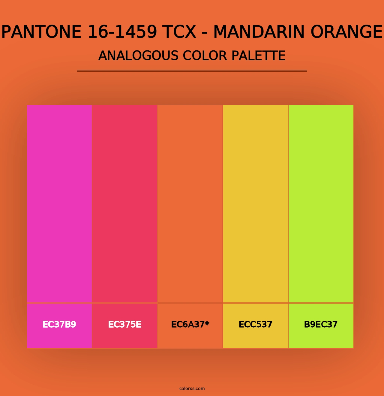 PANTONE 16-1459 TCX - Mandarin Orange - Analogous Color Palette