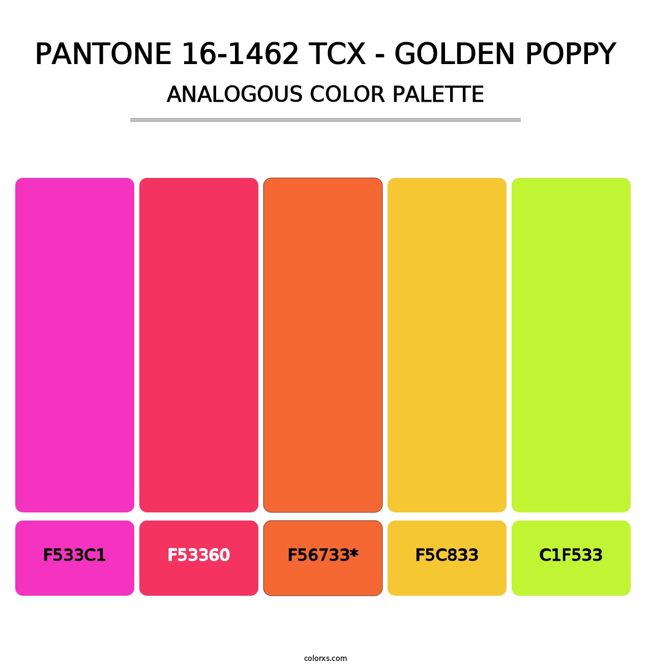 PANTONE 16-1462 TCX - Golden Poppy - Analogous Color Palette