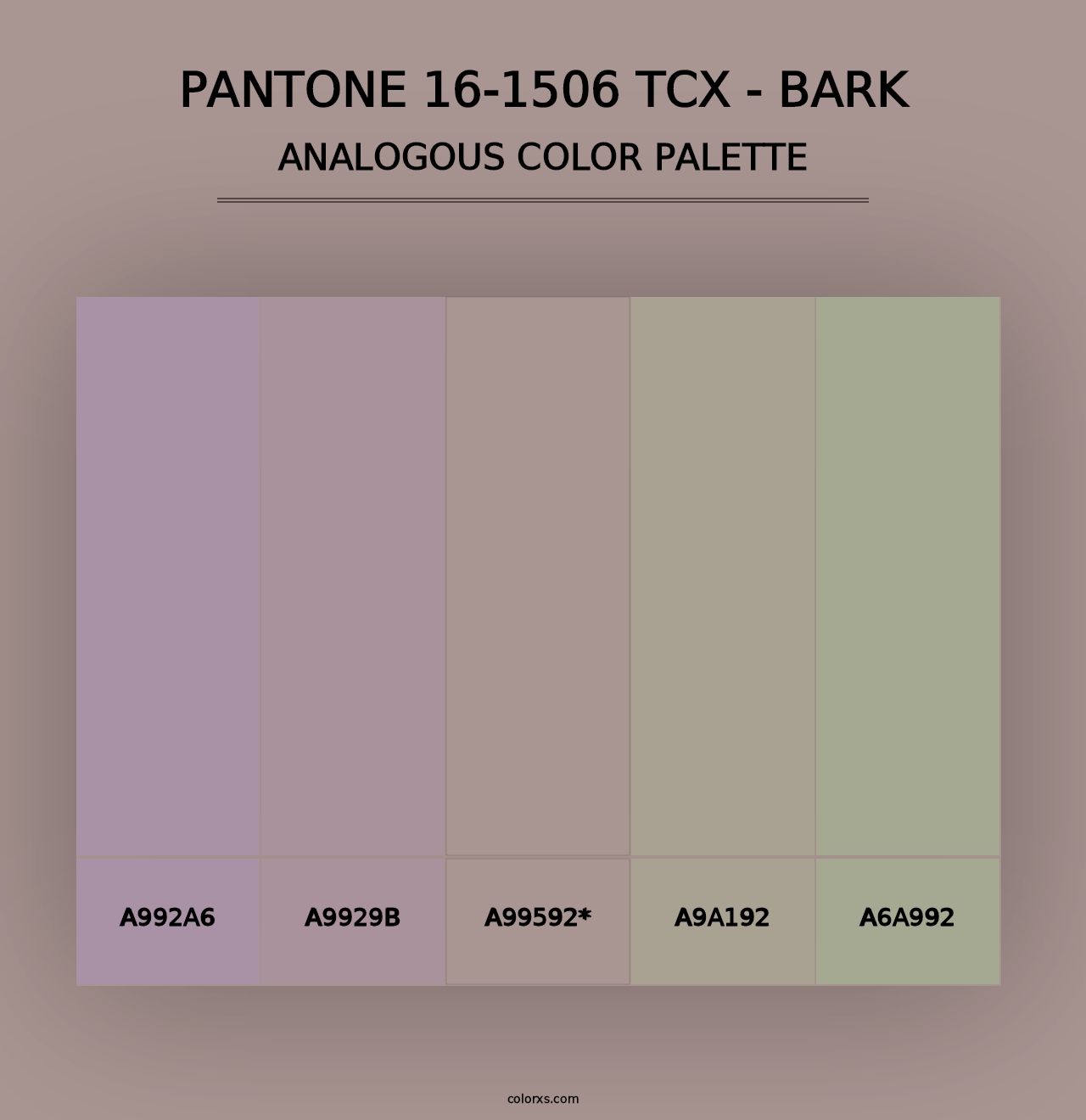 PANTONE 16-1506 TCX - Bark - Analogous Color Palette