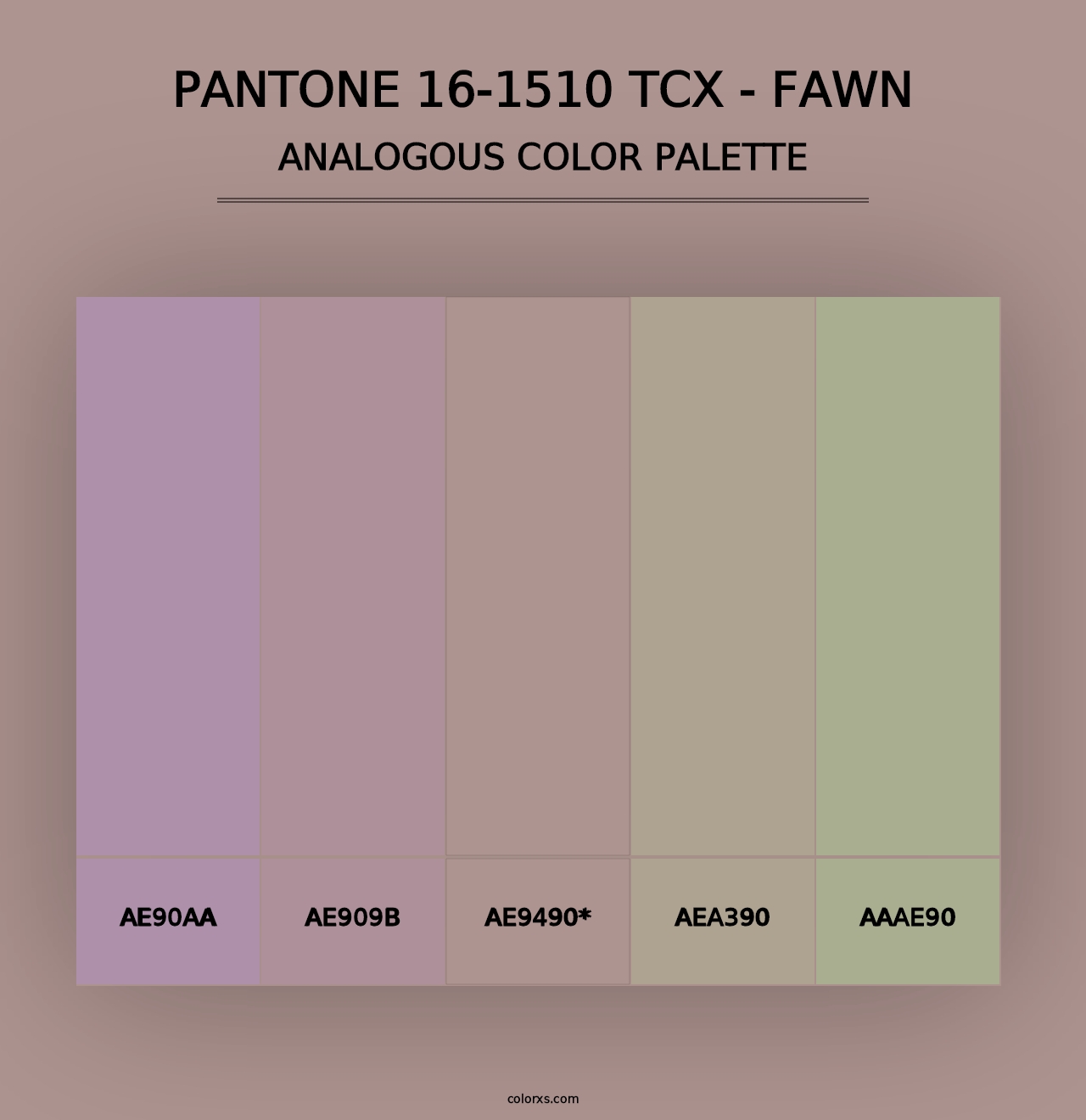 PANTONE 16-1510 TCX - Fawn - Analogous Color Palette