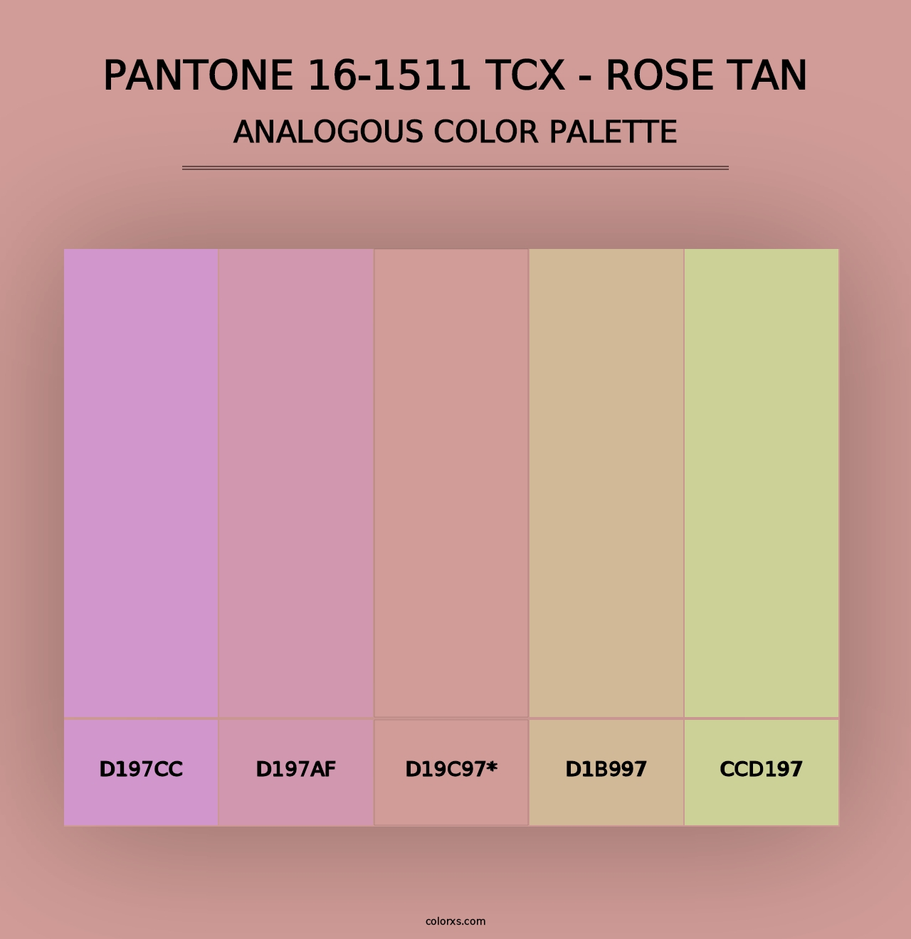 PANTONE 16-1511 TCX - Rose Tan - Analogous Color Palette