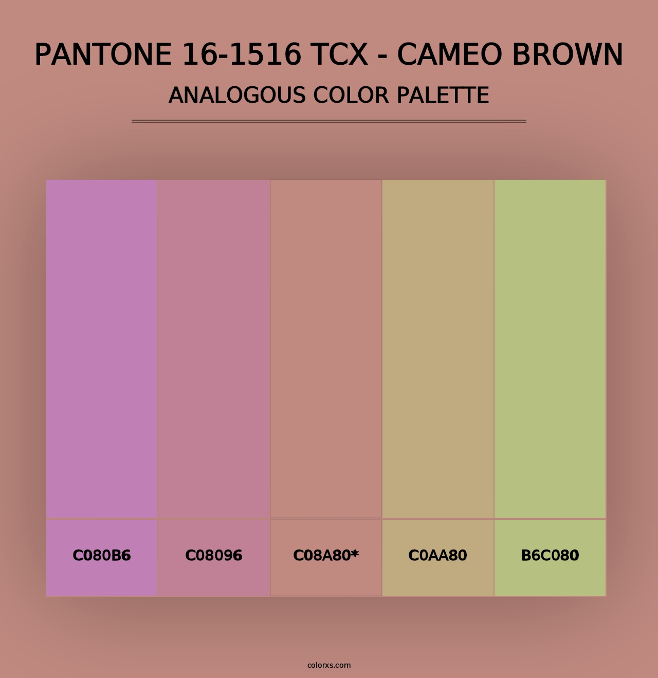 PANTONE 16-1516 TCX - Cameo Brown - Analogous Color Palette