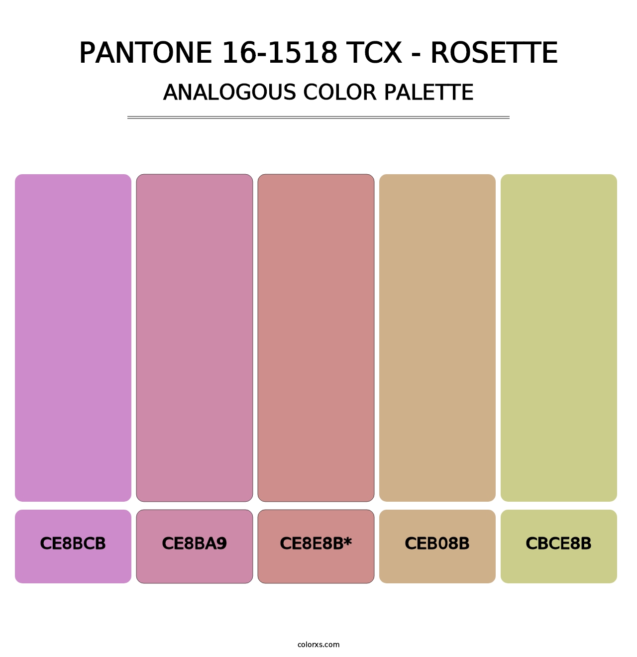 PANTONE 16-1518 TCX - Rosette - Analogous Color Palette