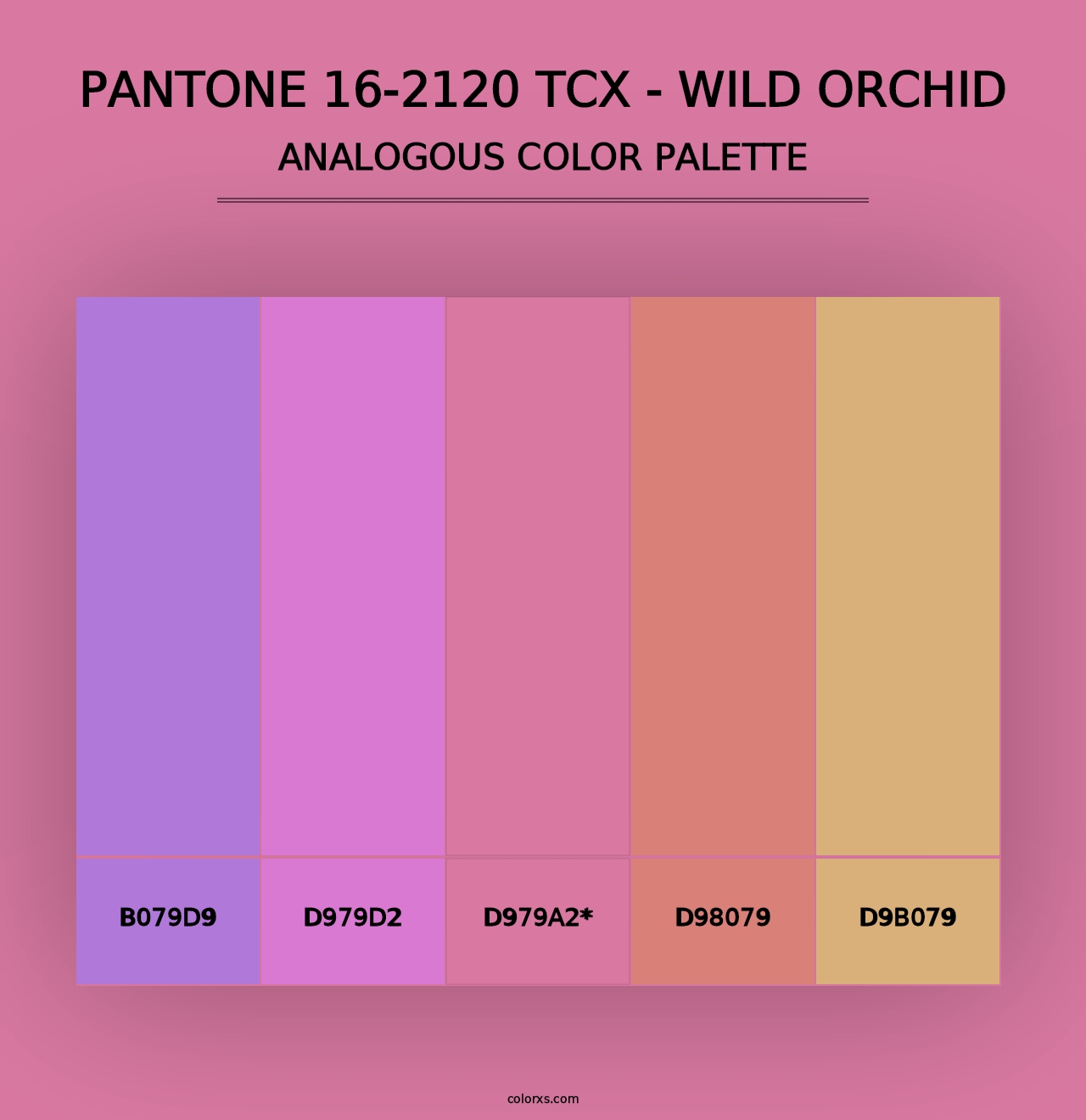 PANTONE 16-2120 TCX - Wild Orchid - Analogous Color Palette