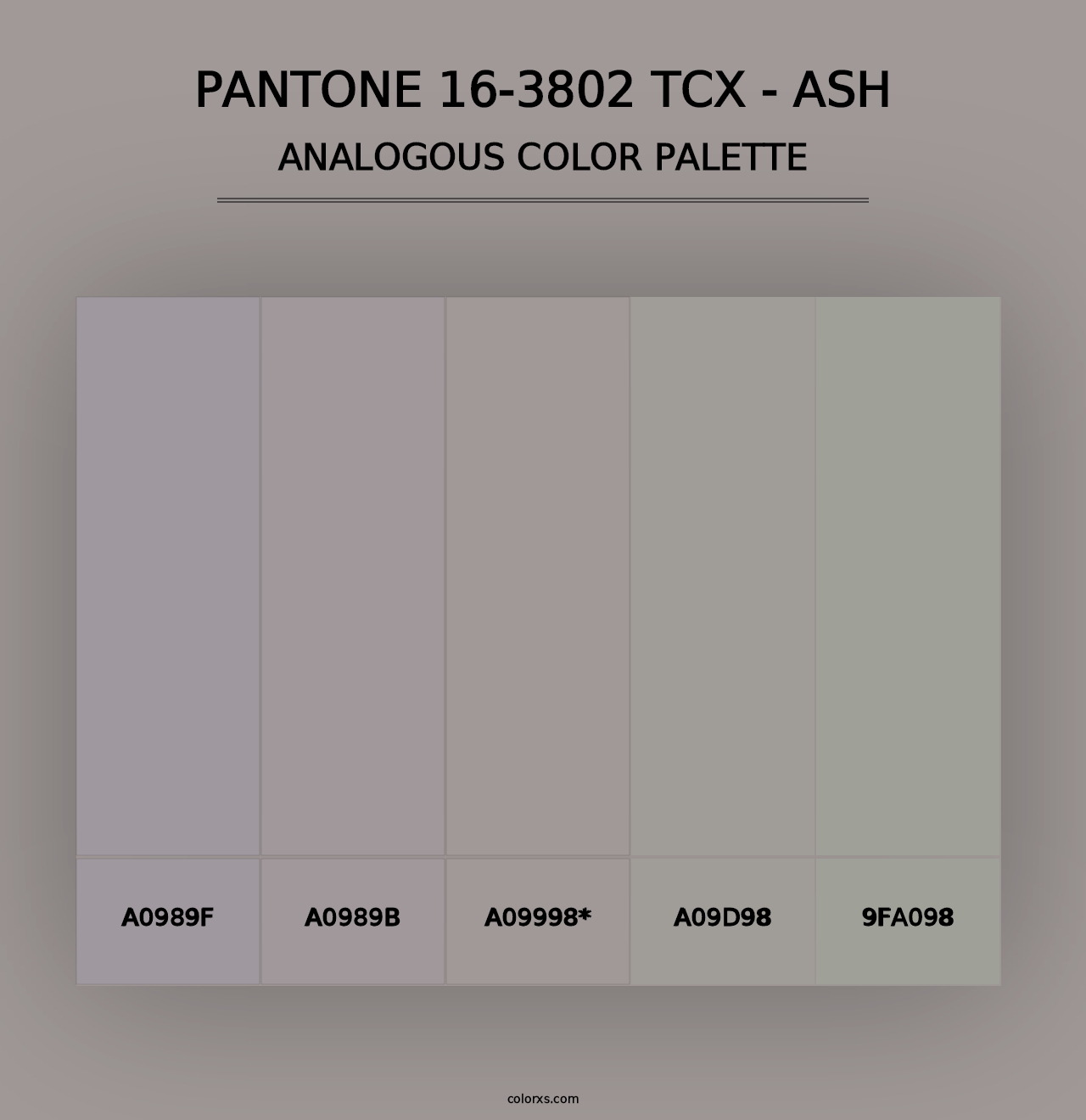 PANTONE 16-3802 TCX - Ash - Analogous Color Palette