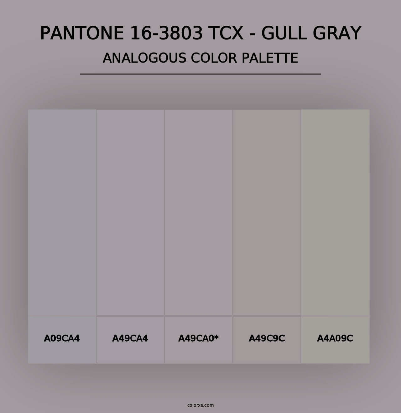 PANTONE 16-3803 TCX - Gull Gray - Analogous Color Palette