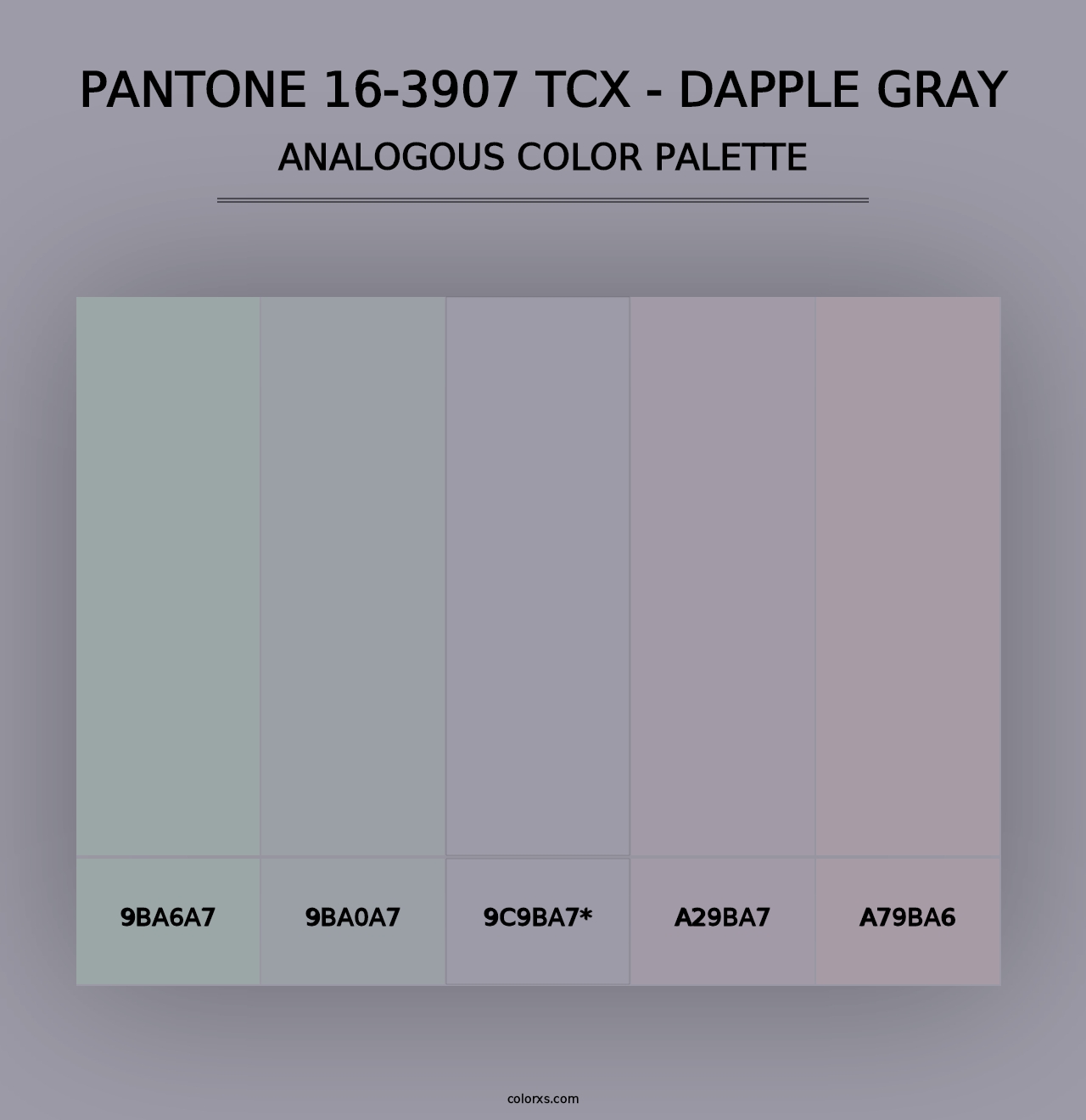 PANTONE 16-3907 TCX - Dapple Gray - Analogous Color Palette