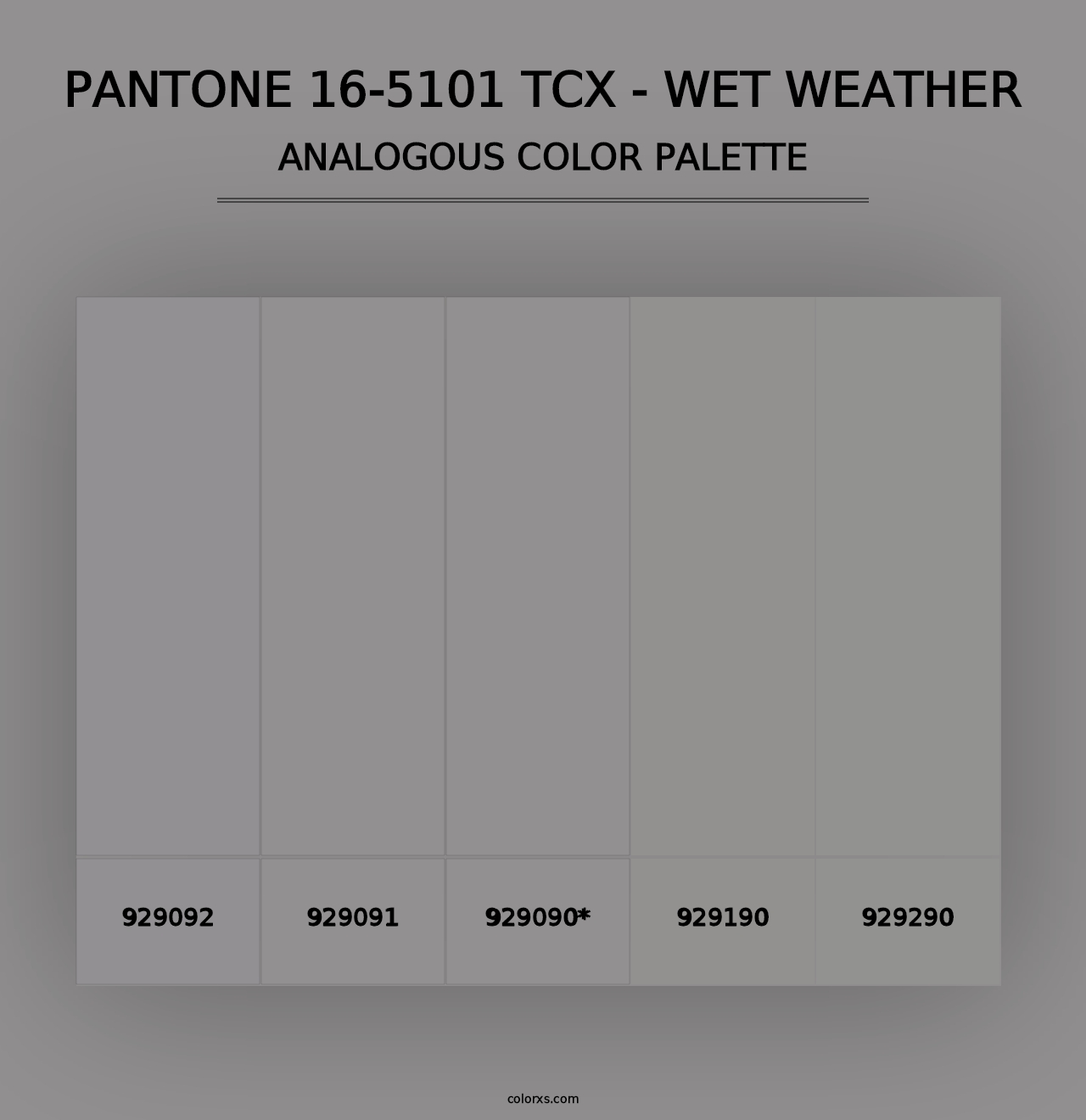 PANTONE 16-5101 TCX - Wet Weather - Analogous Color Palette