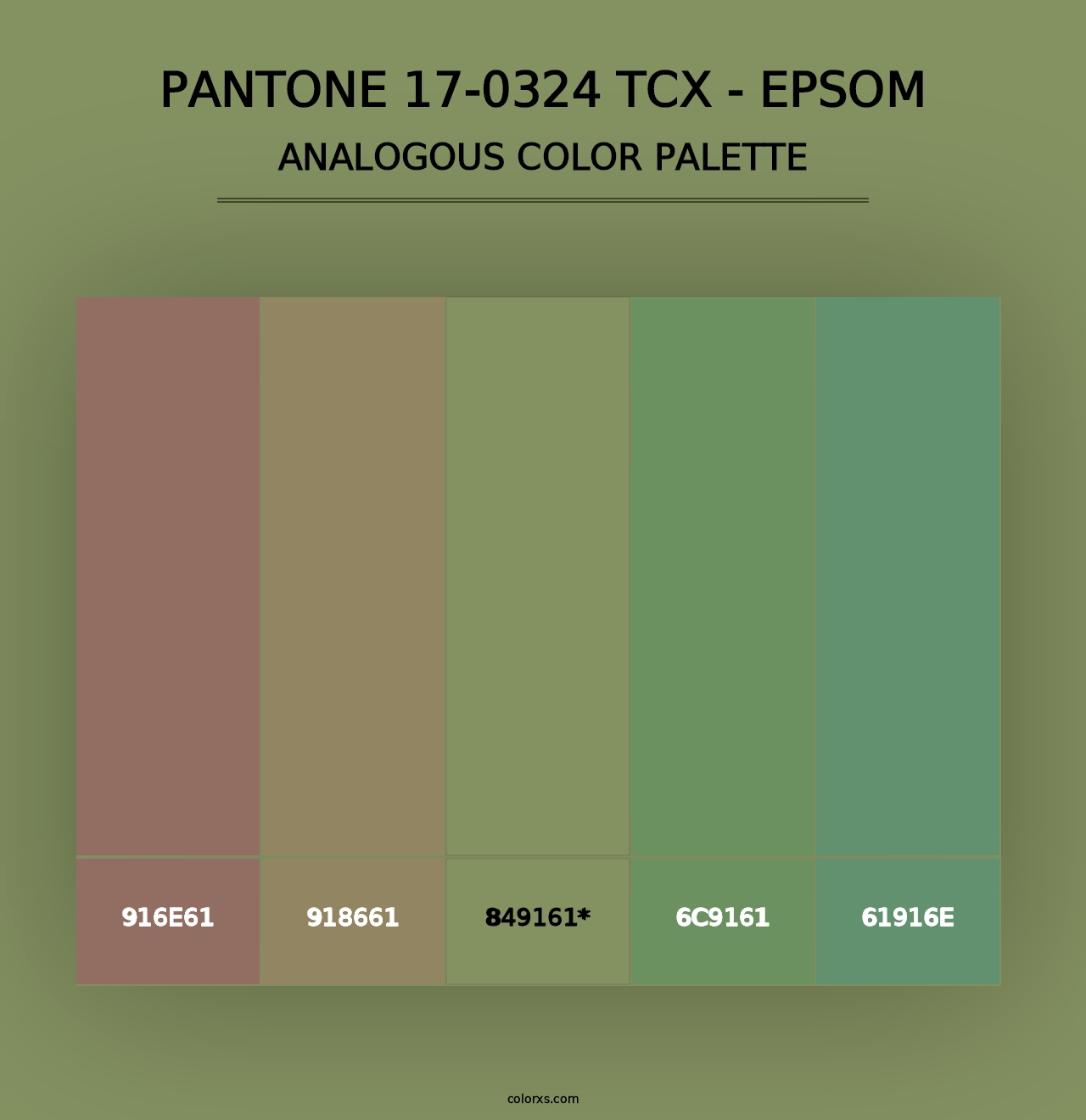 PANTONE 17-0324 TCX - Epsom - Analogous Color Palette