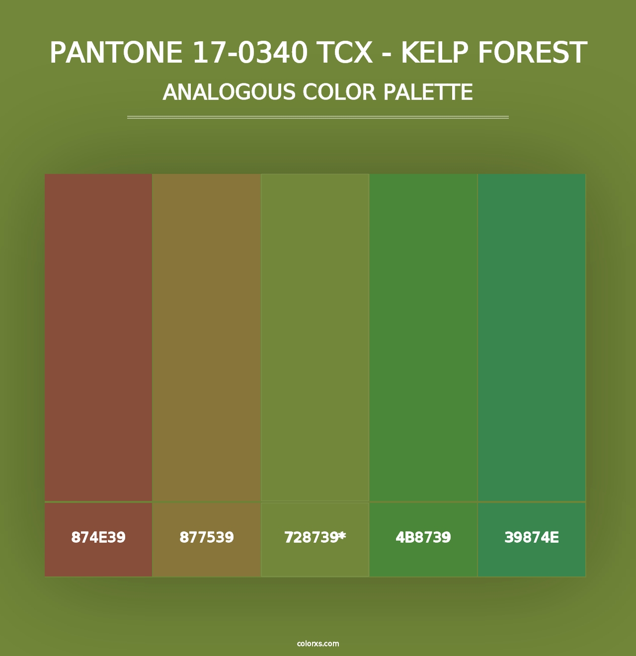 PANTONE 17-0340 TCX - Kelp Forest - Analogous Color Palette