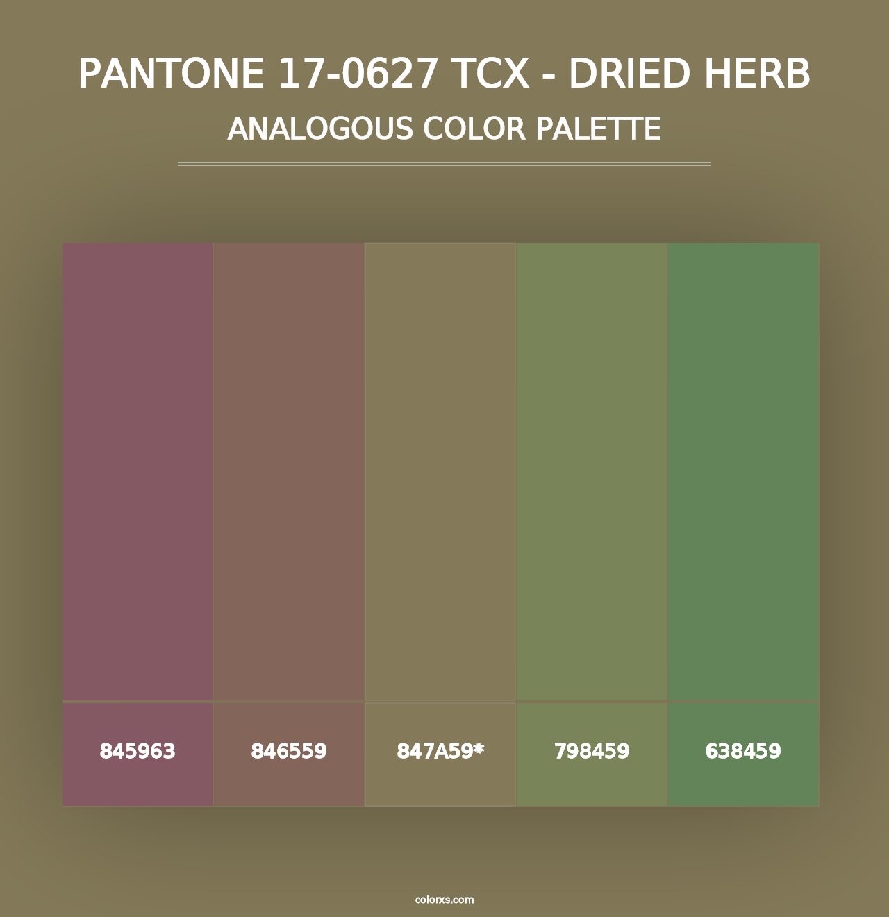 PANTONE 17-0627 TCX - Dried Herb - Analogous Color Palette