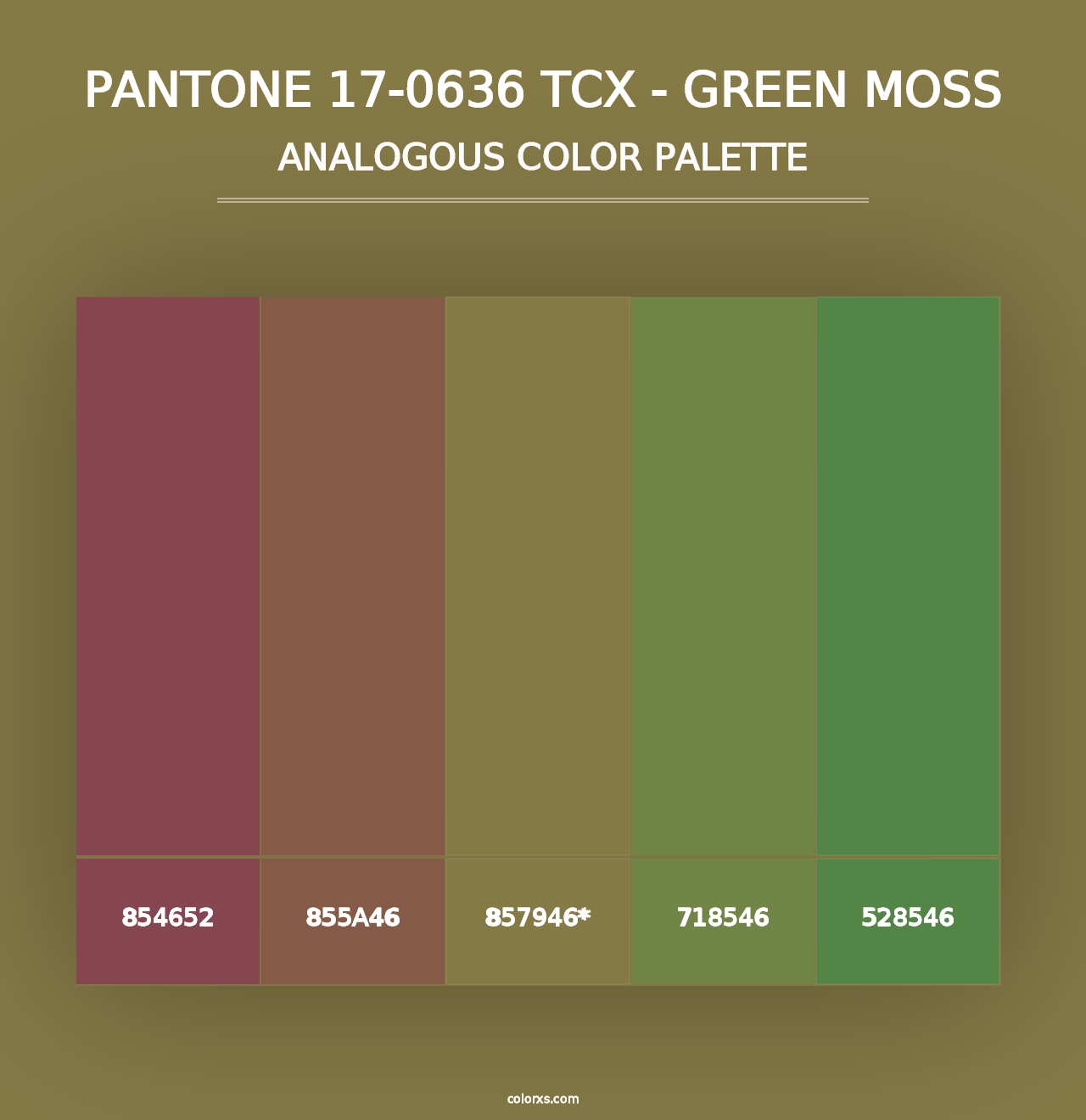 PANTONE 17-0636 TCX - Green Moss - Analogous Color Palette