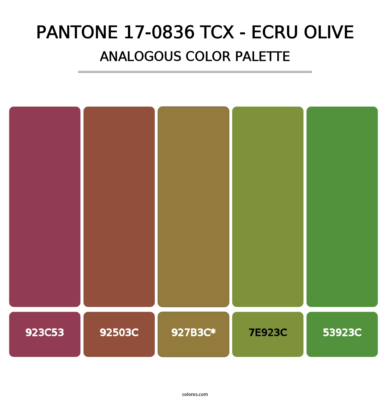 PANTONE 17-0836 TCX - Ecru Olive - Analogous Color Palette