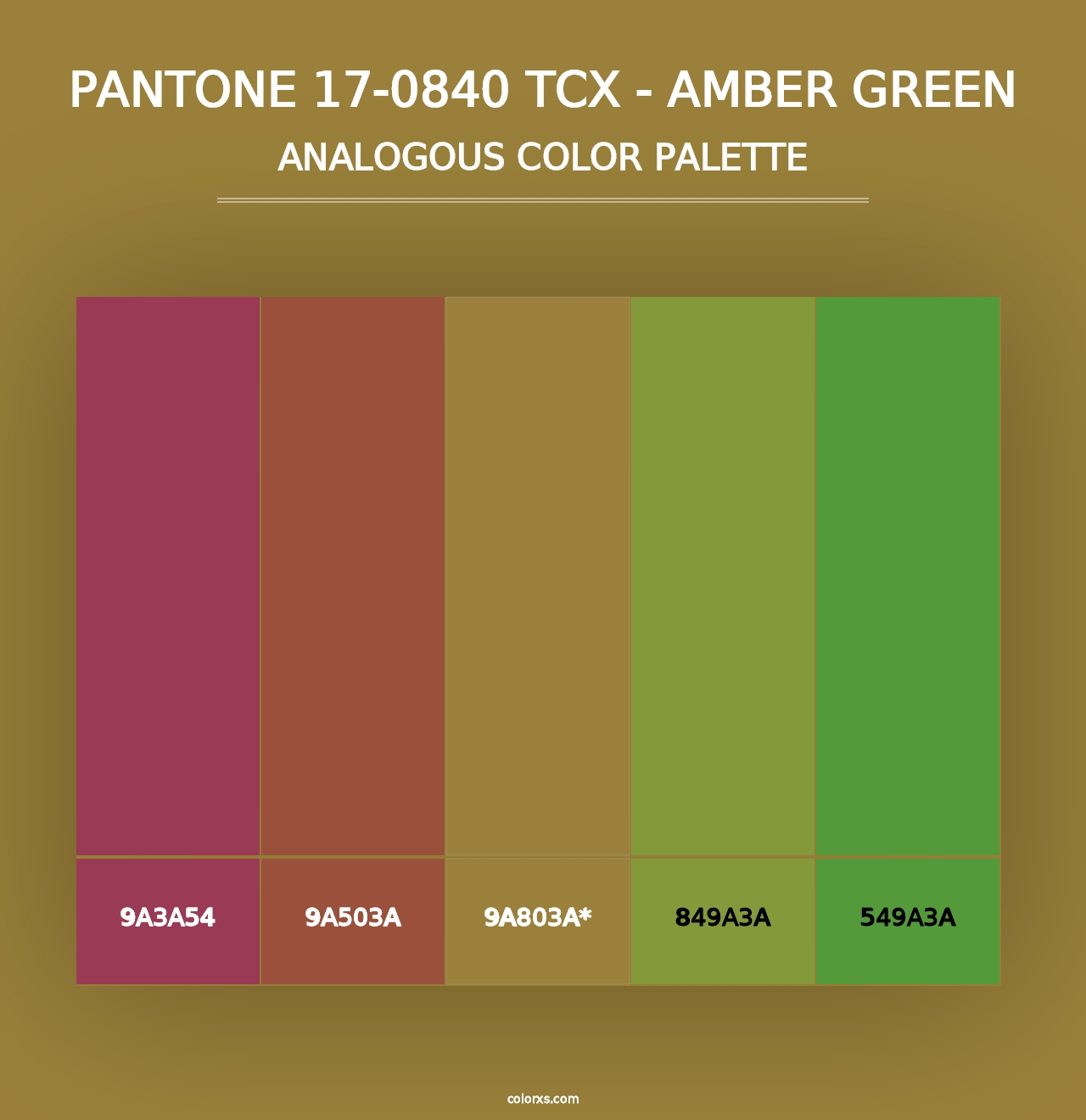 PANTONE 17-0840 TCX - Amber Green - Analogous Color Palette