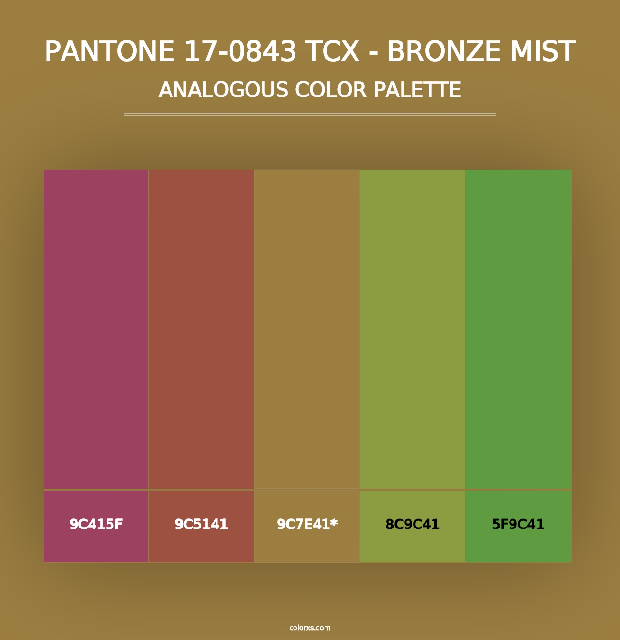 PANTONE 17-0843 TCX - Bronze Mist - Analogous Color Palette