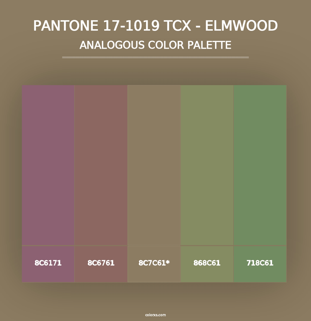 PANTONE 17-1019 TCX - Elmwood - Analogous Color Palette