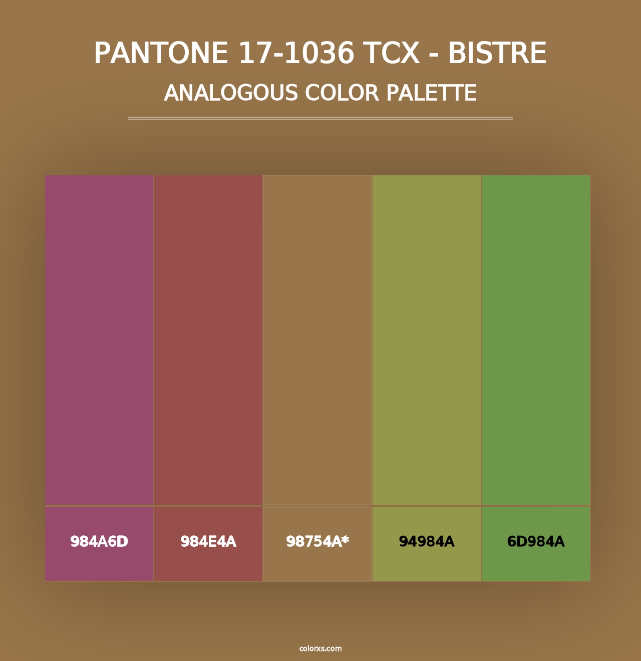 PANTONE 17-1036 TCX - Bistre - Analogous Color Palette