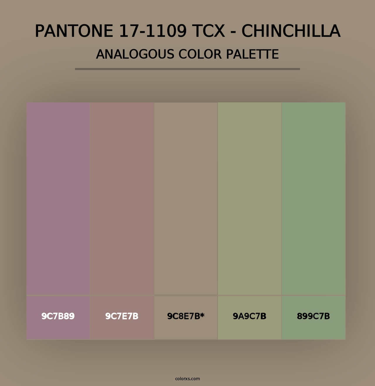 PANTONE 17-1109 TCX - Chinchilla - Analogous Color Palette