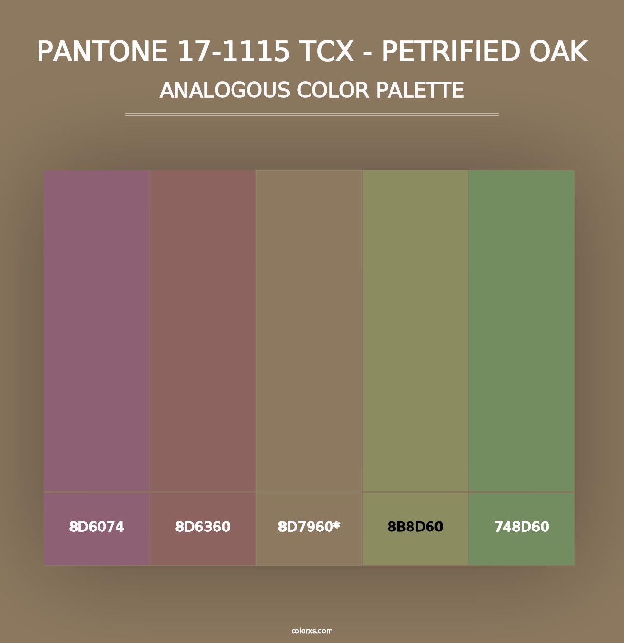 PANTONE 17-1115 TCX - Petrified Oak - Analogous Color Palette