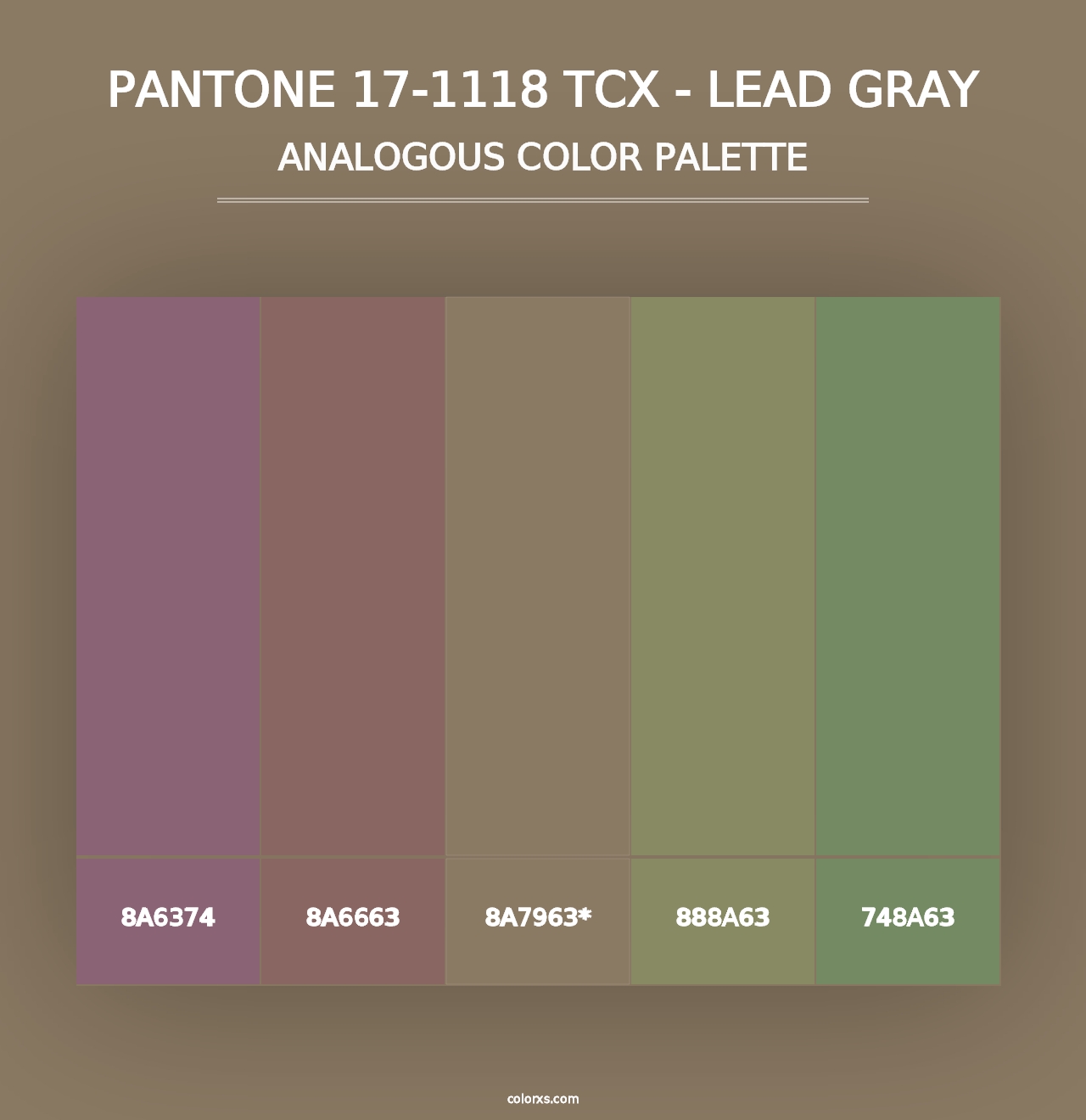 PANTONE 17-1118 TCX - Lead Gray - Analogous Color Palette