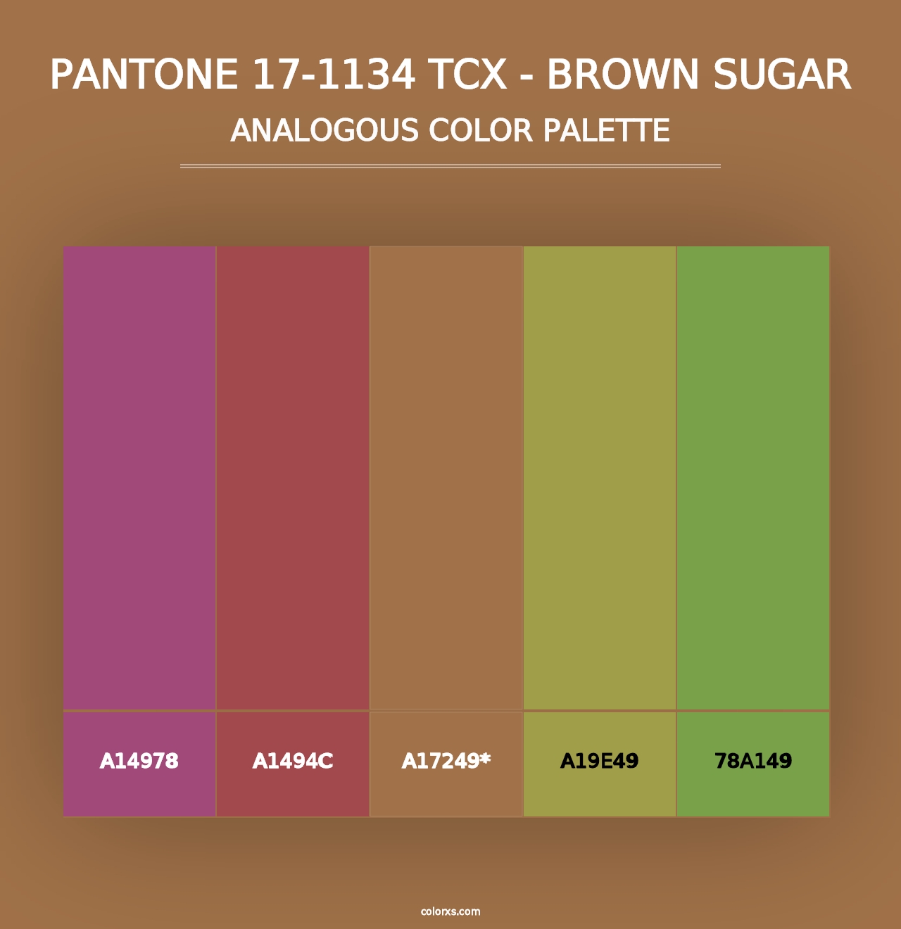 PANTONE 17-1134 TCX - Brown Sugar - Analogous Color Palette