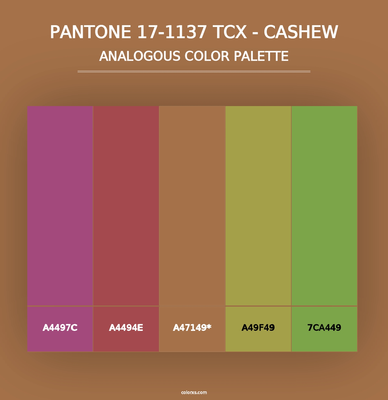 PANTONE 17-1137 TCX - Cashew - Analogous Color Palette