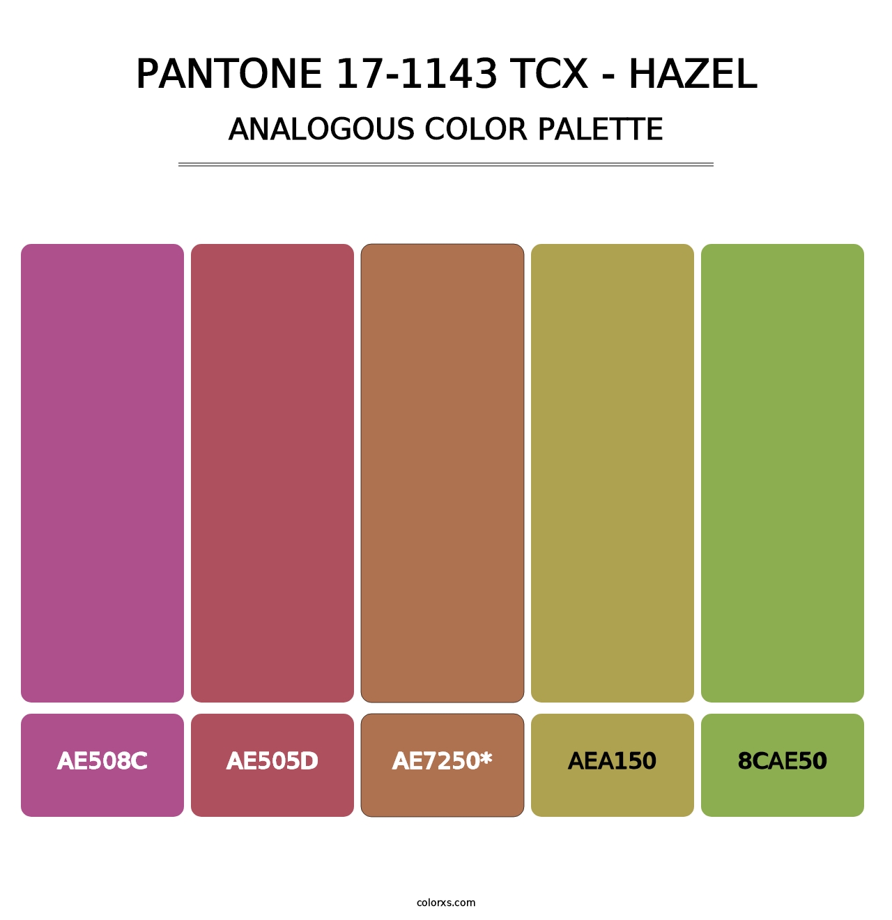 PANTONE 17-1143 TCX - Hazel - Analogous Color Palette