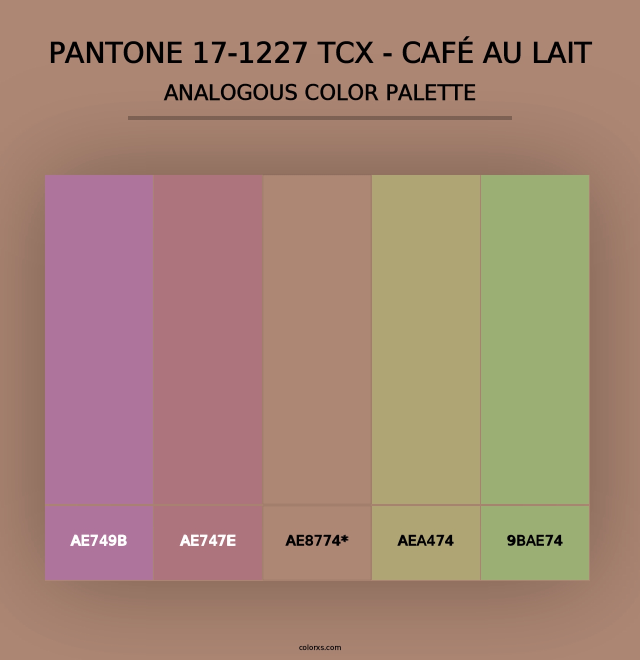 PANTONE 17-1227 TCX - Café au Lait - Analogous Color Palette