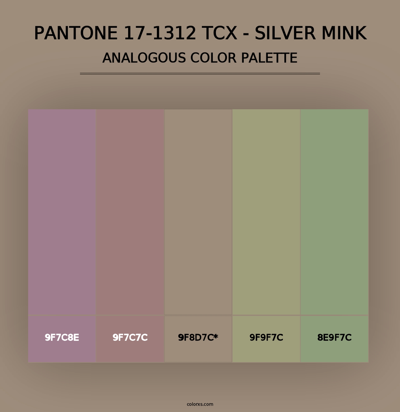 PANTONE 17-1312 TCX - Silver Mink - Analogous Color Palette