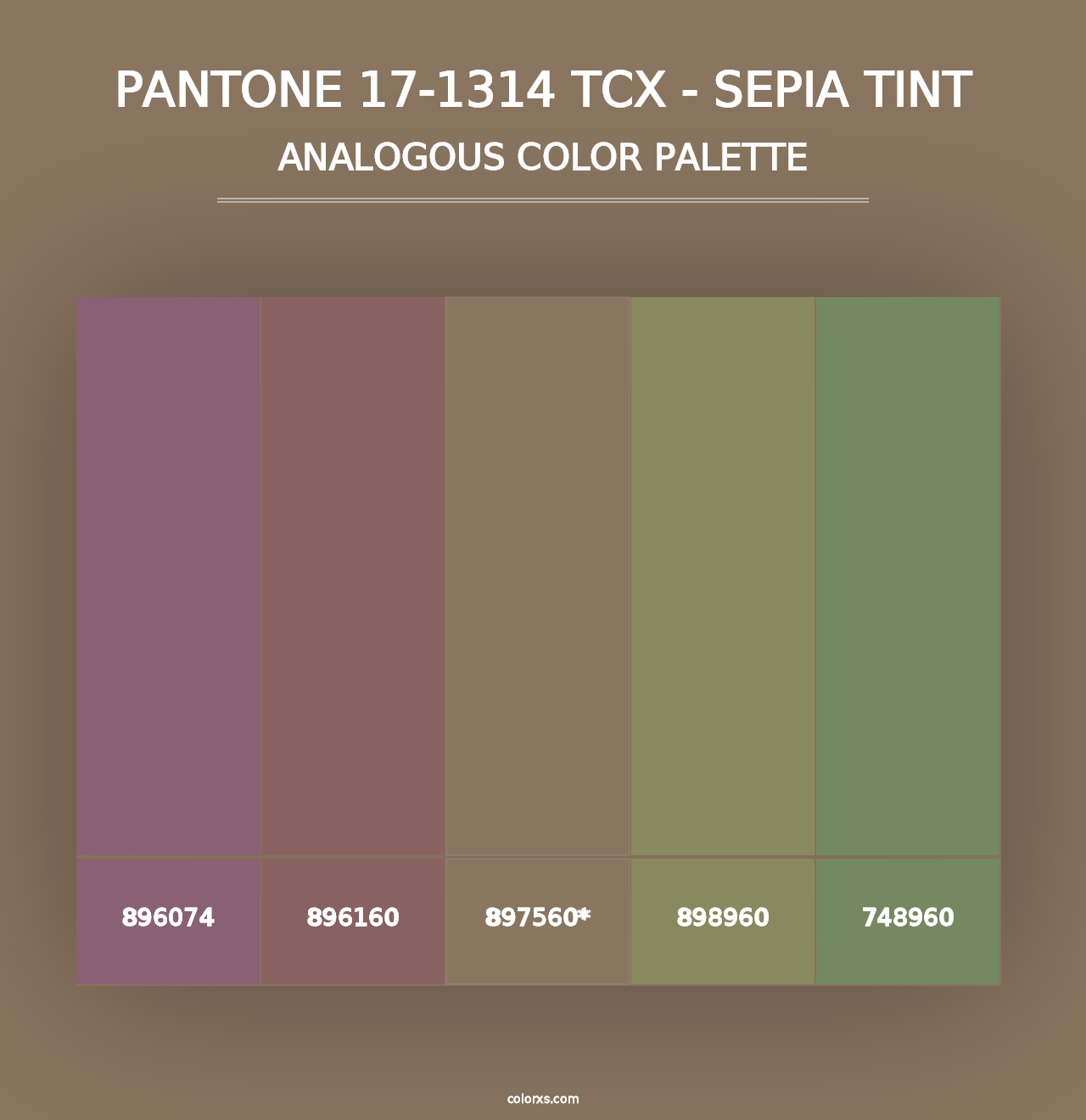 PANTONE 17-1314 TCX - Sepia Tint - Analogous Color Palette