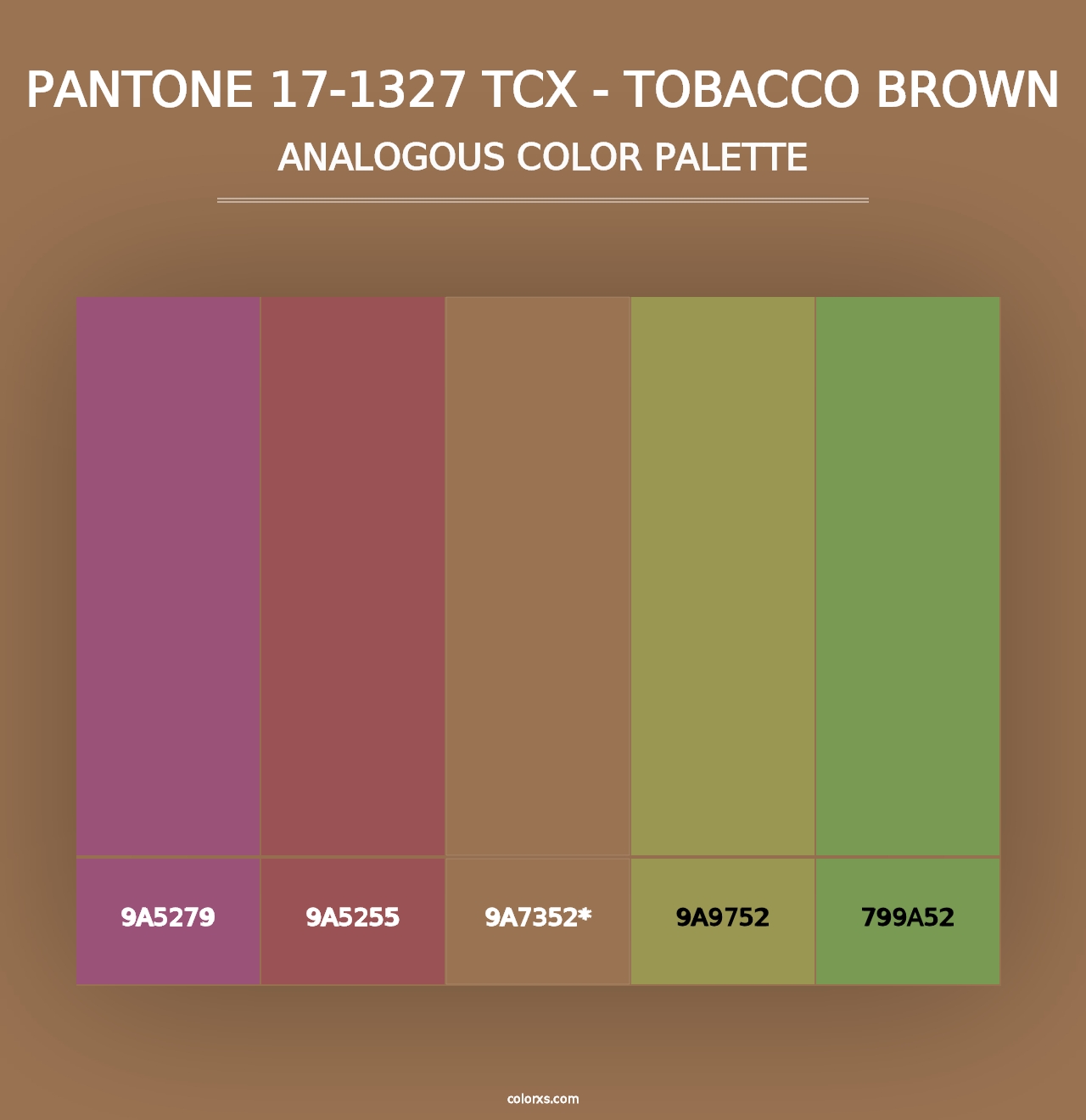 PANTONE 17-1327 TCX - Tobacco Brown - Analogous Color Palette